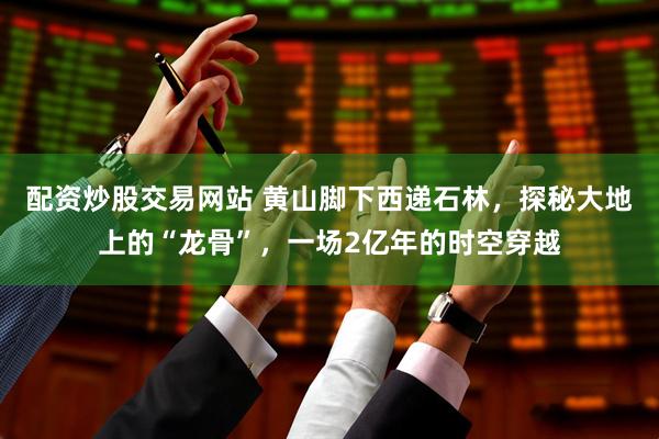 配资炒股交易网站 黄山脚下西递石林，探秘大地上的“龙骨”，一场2亿年的时空穿越